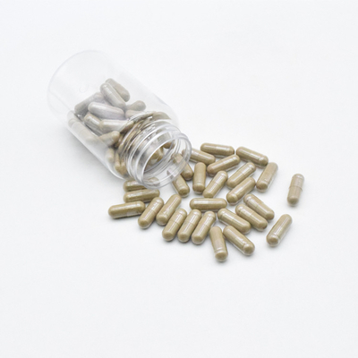 Body Building Supplements Turkesterone Supplement 500mg Ajuga Turkesterone Capsules