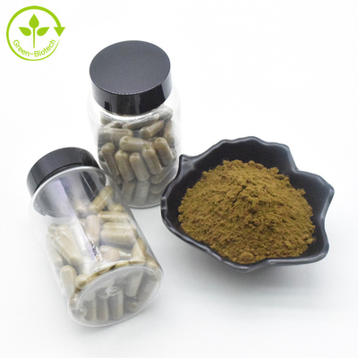 Plant Extract Ajuga Turkestanica Extract Powder 10% 500mg/60caps/Bottle Turkesterone Capsules