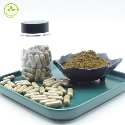 Ajuga Turkestanica Extract Capsules Turkesterone Hydroxypropyl Beta Cyclodextrin Capsule 2% 10%