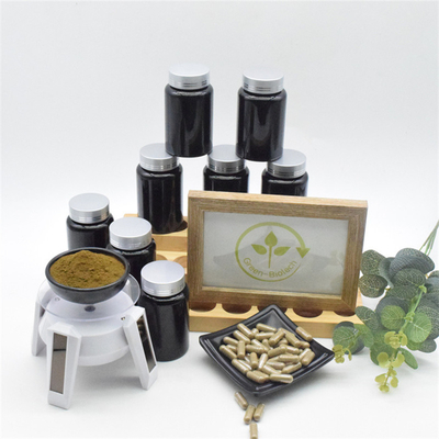 Turkesterone Cyclodextrin100% Natural Turkesterone Powder Capsule Extracted From Ajuga Turkestanica Extract 10%