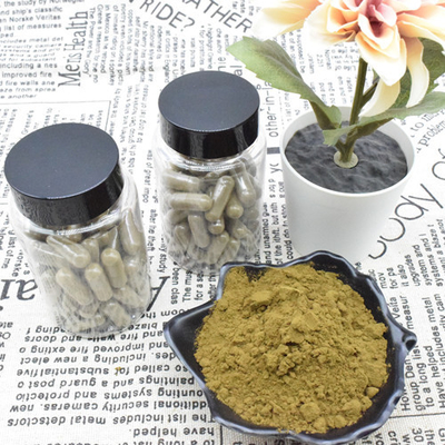 Ajuga Turkestanica Extract Powder 2% 10% Turkesterone Extract