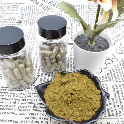 Ajuga Turkestanica Extract Powder 2% 10% Turkesterone Extract