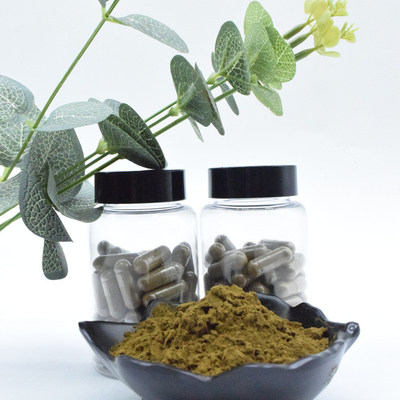 Wholesale Bulk 100% Pure 2% 10% Ajuga Turkestanica Extract Powder Turkesterone Powder