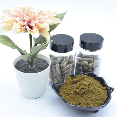 Plant Extract Ajuga Turkestanica Extract Powder 40% 500mg/60caps/Bottle Turkesterone Capsules
