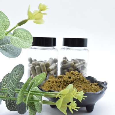 Plant Extract Ajuga Turkestanica Extract Powder 40% 500mg/60caps/Bottle Turkesterone Capsules
