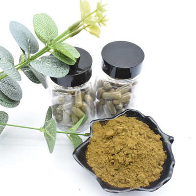 Herbal Extract Ajuga Turkestanica Extract Turkesterone Powder