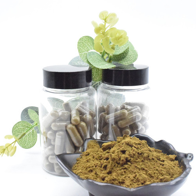 Herbal Extract Ajuga Turkestanica Extract Turkesterone Powder