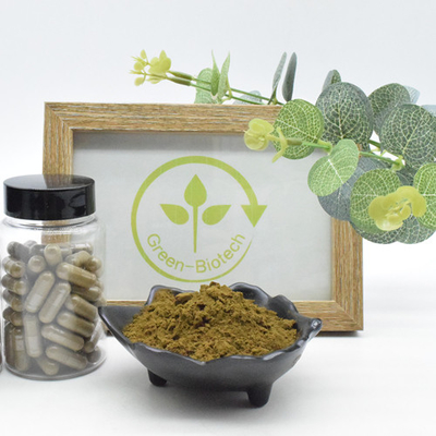 100% Natural Turkesterone Powder 2% 10% 40% Ajuga Turkestanica Extract