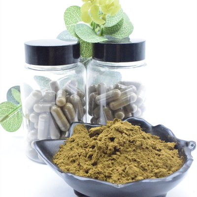 100% Natural Turkesterone Powder 2% 10% 40% Ajuga Turkestanica Extract