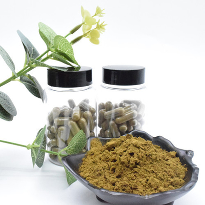 Top Quality Ajuga Turkesterone Powder 10 Turkesterone Extract Turkesterone Plant Extract