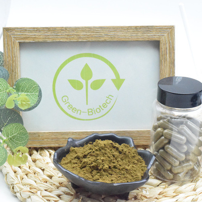 Top Quality Ajuga Turkesterone Powder 10 Turkesterone Extract Turkesterone Plant Extract