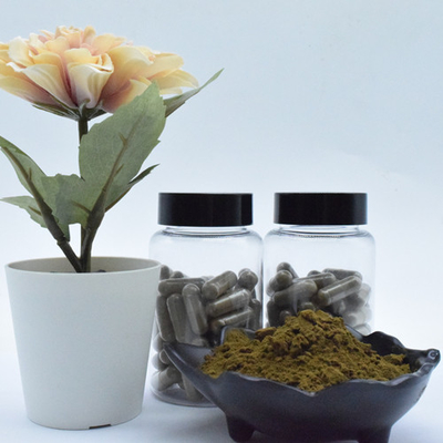 Pure ajuga turkestanica extract turkesterone 2% 10% 40% turkesterone powder