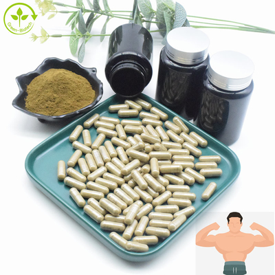 Ajuga Turkestanica Extract Wholesale Bulk 2% 10% CAS 41451-87-0 Turkesterone Extract Turkesterone Powder