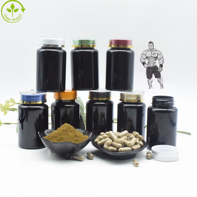 Natural Organic Ajuga Turkestanica Extract Powder 10% Turkesterone Capsules