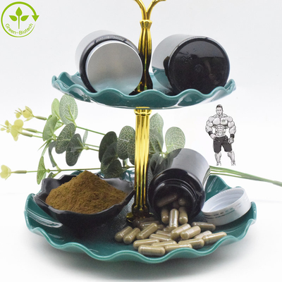 Natural Organic Ajuga Turkestanica Extract Powder 10% Turkesterone Capsules