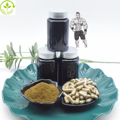 Pure 10% 40% Turkesterone Extract Powder 800mg 1000mg Turkesterone Capsules