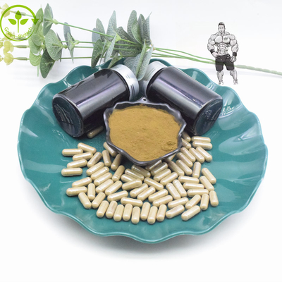 Pure 10% 40% Turkesterone Extract Powder 800mg 1000mg Turkesterone Capsules