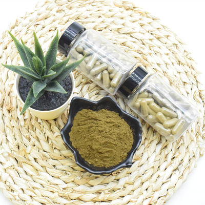 Top Quality Fast Delivery Turkesterone Powder Extract