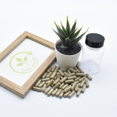 Turkesterone High Quality Ajuga Turkesterone Extract Powder