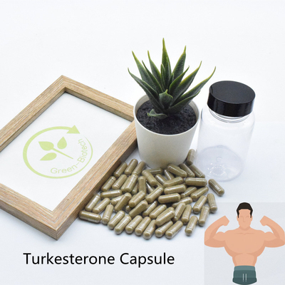 Turkesterone High Quality Ajuga Turkesterone Extract Powder