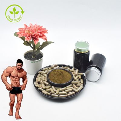 Top Quality Ajuga Turkesterone Powder 10 Turkesterone Extract Turkesterone