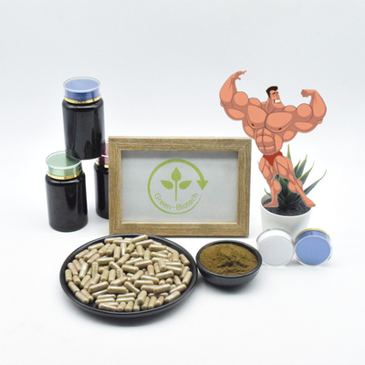 100% Natural Ajuga Turkestanica Extract Turkesterone 10% Capsules Pure Turkesterone Powder
