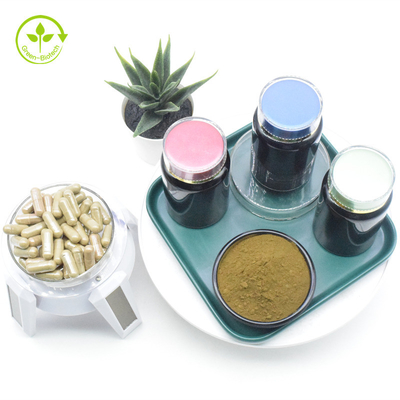 Manufacturer Organic Kosher Ajuga Natural Standardised Cyclodextrin 10% 40% Turkesterone Powder
