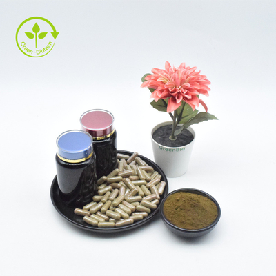 Natural Turkesterone Pure Ajuga Turkestanica Extract 2% Turkesterone Powder