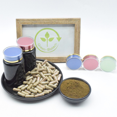 Factory Supply High Quality Ajuga Turkestanica Extract Powder 2% 4% 10% Turkesterone For Sale