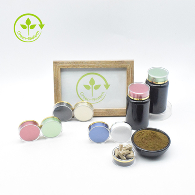 Plant Extract Ajuga Turkestanica Extract Powder Ajuga Turkestanica Powder