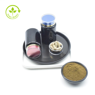Ajuga Turkestanica Extract 2% 10% 40% CAS 41451-87-0 Pure Turkesterone Powder
