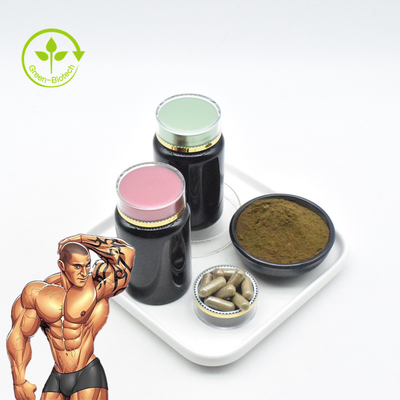 Bulk 2% 10% Ajuga Turkestanica Root Extract 1% Turkesterone Extract Powder