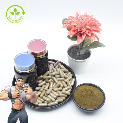 Supplement Pure Ajuga Turkestanica Extract Bulk 2% 10% Turkesterone Powder