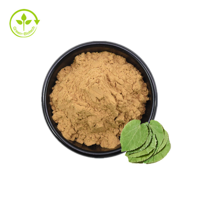 20% 30% Icaritin Natural Epimedium Extract Icariin 98% Epimedium Extract Powder