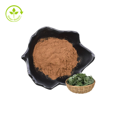 Best Selling Plant Extract Epimedium P.E. 20% Lcariin Powder With HPLC