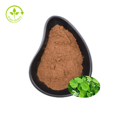 Epimedium Extract 98% Icaritin Honey Goat Weed Extract 98% Icaritin