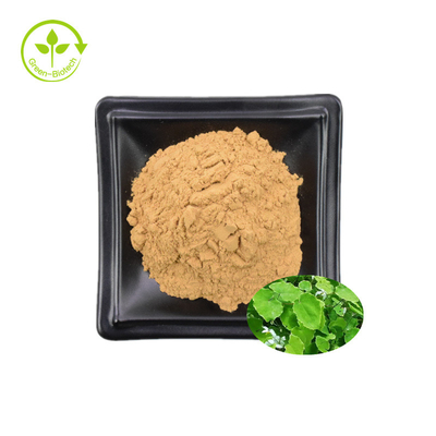 Epimedium Extract 98% Icaritin Honey Goat Weed Extract 98% Icaritin