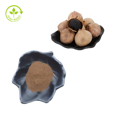 Wholesale Bulk Natural Black Garlic Extract Powder Black Garlic Powder