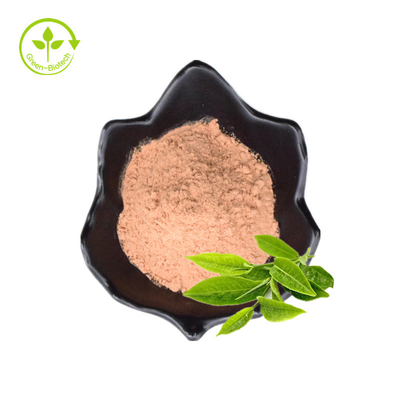 Factory Price Wholesale Price Health Care Supplement Green Tea Leaves Extract Tea Polyphenols Powder