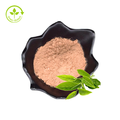 100% Natural Organic Fresh And Plant Extract From Leaf Plant Extract For Weight Loss Green Tea Extract Powder