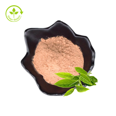 100% Natural Organic Fresh And Plant Extract From Leaf Plant Extract For Weight Loss Green Tea Extract Powder