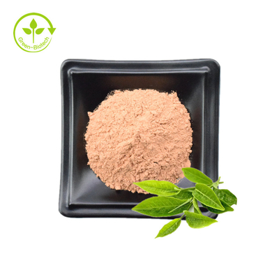 100% Natural 98% Green Tea Extract EGCG Powder With Free Samples