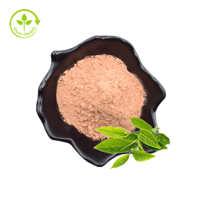 100% Natural 98% Green Tea Extract EGCG Powder With Free Samples