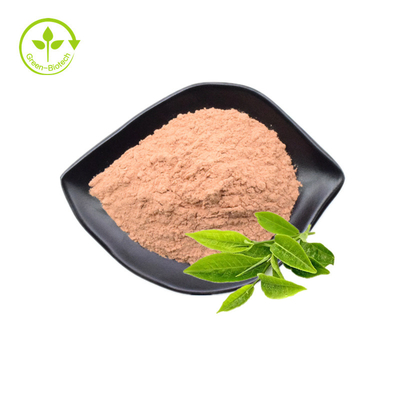 Food Grade Green Tea Leaf Extract Polyphenols 98% Catechin 80% Egcg 60% Bulk Powder
