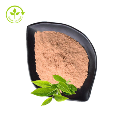 Pure Organic Green Tea Extract Powder 98% Tea Polyphenols EGCG