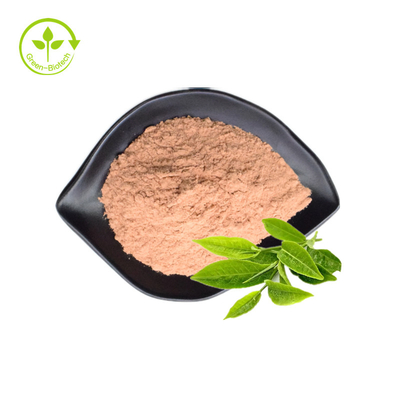 Pure Organic Green Tea Extract Powder 98% Tea Polyphenols EGCG