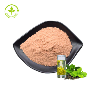 Factory Supply Green Tea Extract 80% Catechin Green Tea Extract Powder Green Tea Extract