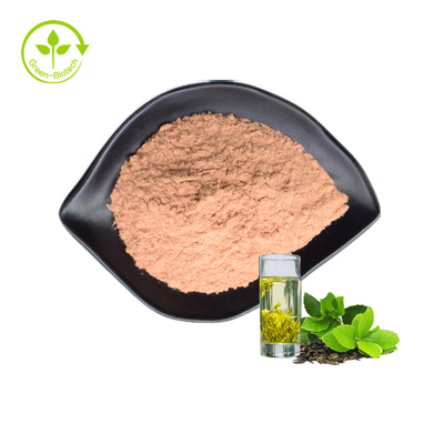 Factory Supply Green Tea Extract 80% Catechin Green Tea Extract Powder Green Tea Extract