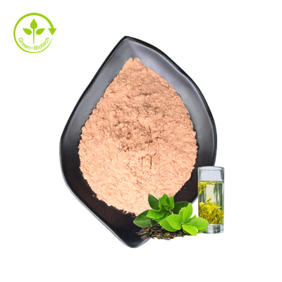 Helps With Weight Loss Dissolvable Food Grade China Instant Green Tea Extract Powder Natural Green Tea Powder