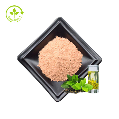 Tea Polyphenol Manufacturers Supply Hot Selling Green Tea Extract Polyphenol Powder 90% Tea Polyphenol